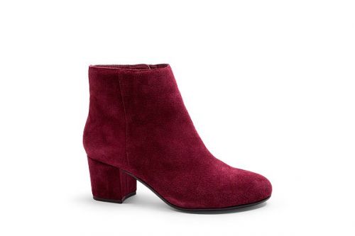 SPRING BOOTS by STEVE MADDEN